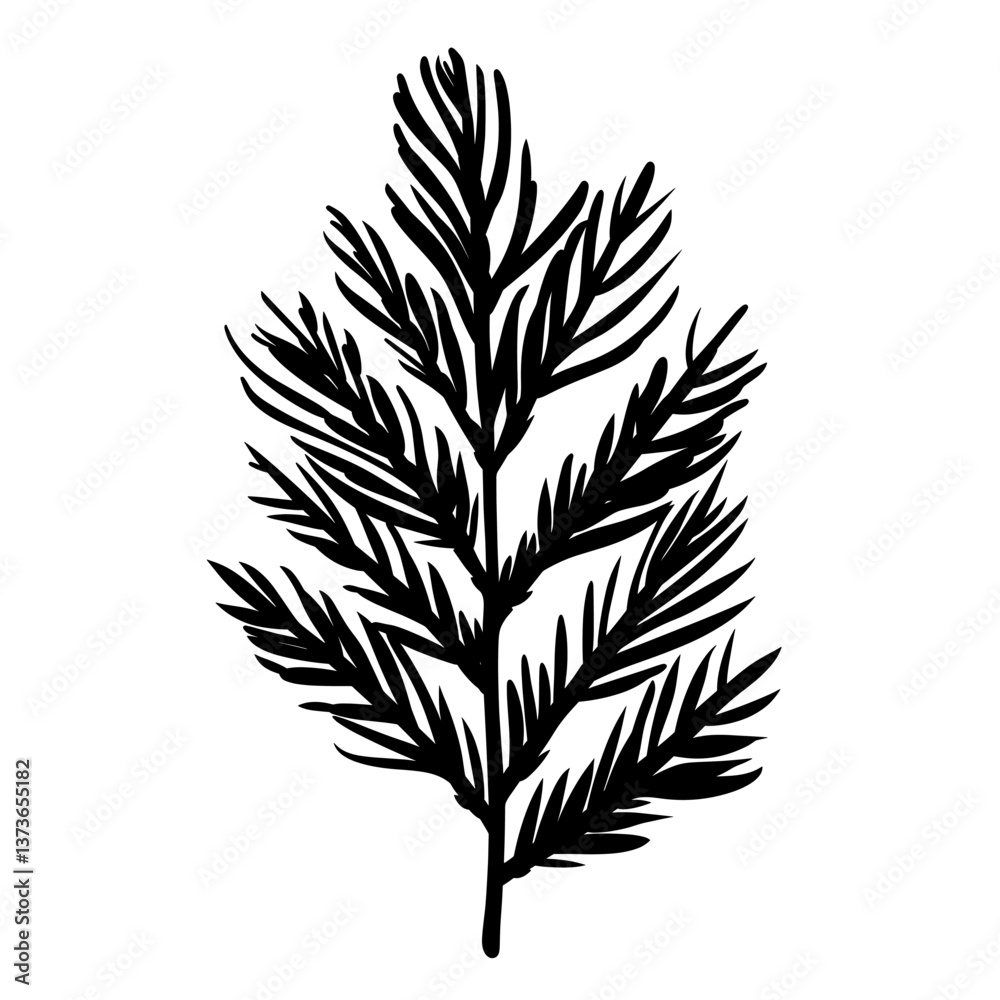 Fototapeta premium Cedar Leaf leaf art illustration vector