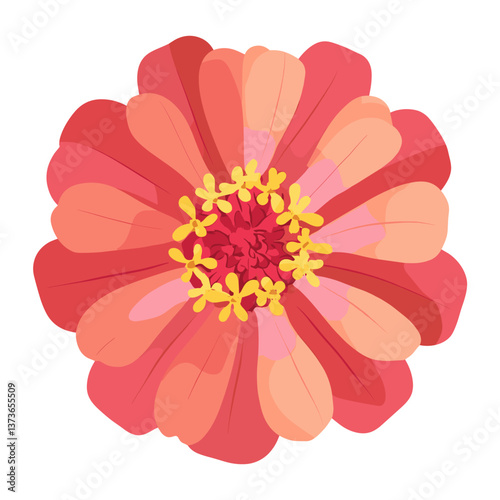 Red zinnia illustration vibrant flower vector