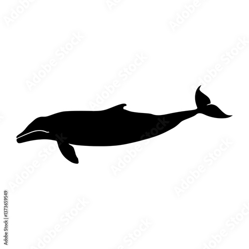 Spermwhale silhouette animal black white vector
