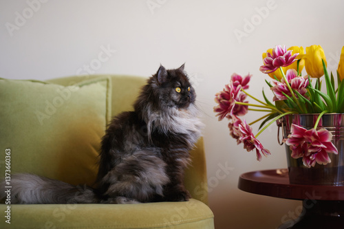 Fluffy cat comfortably resting on armchair surrounded by fresh spring flowers emphasizing warm cozy home setting soft fur and stylish elegant decor aesthetic.