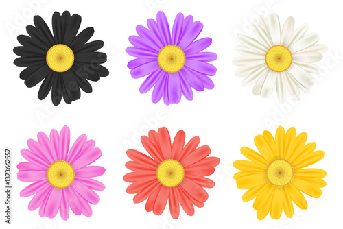 Realistic chamomile daisy flower icon collection