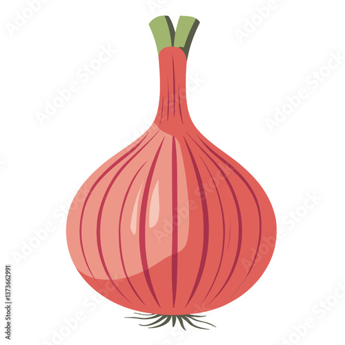 Red onion illustration vegetable design vector