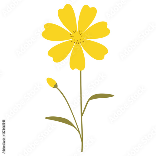Flower illustration asteraceae minimalist vector