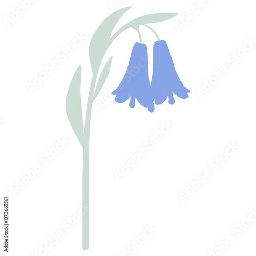 California bluebell flower illustration simple plant vector