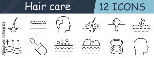 Hair care set icon. Follicle, wave, head, drop, moisture, dryness, restore, growth, flake, puff, container, scalp