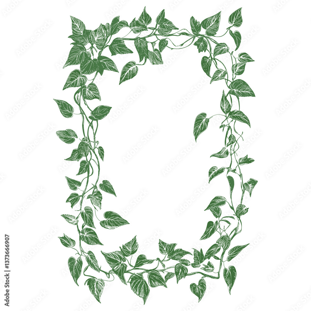 A cute frame made of leaves vines leaf illustration green vector