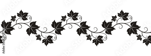 Elegant ornament grapevine. Seamless brush, pattern, isolated on white background.