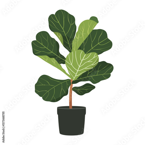 Potted fiddle leaf fig plant illustration potted vegetable vector