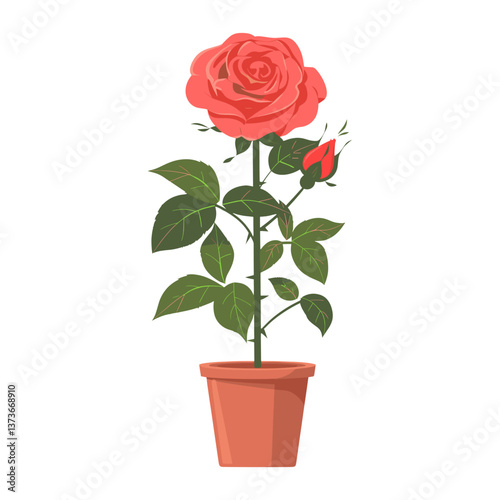 Potted plant rose illustration flower potted vector