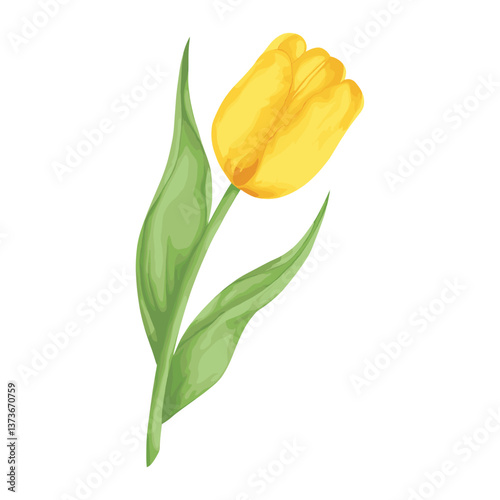Yellow tulip illustration vibrant flower vector