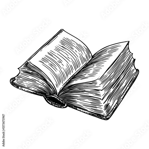 Opened book art drawing sketch vector