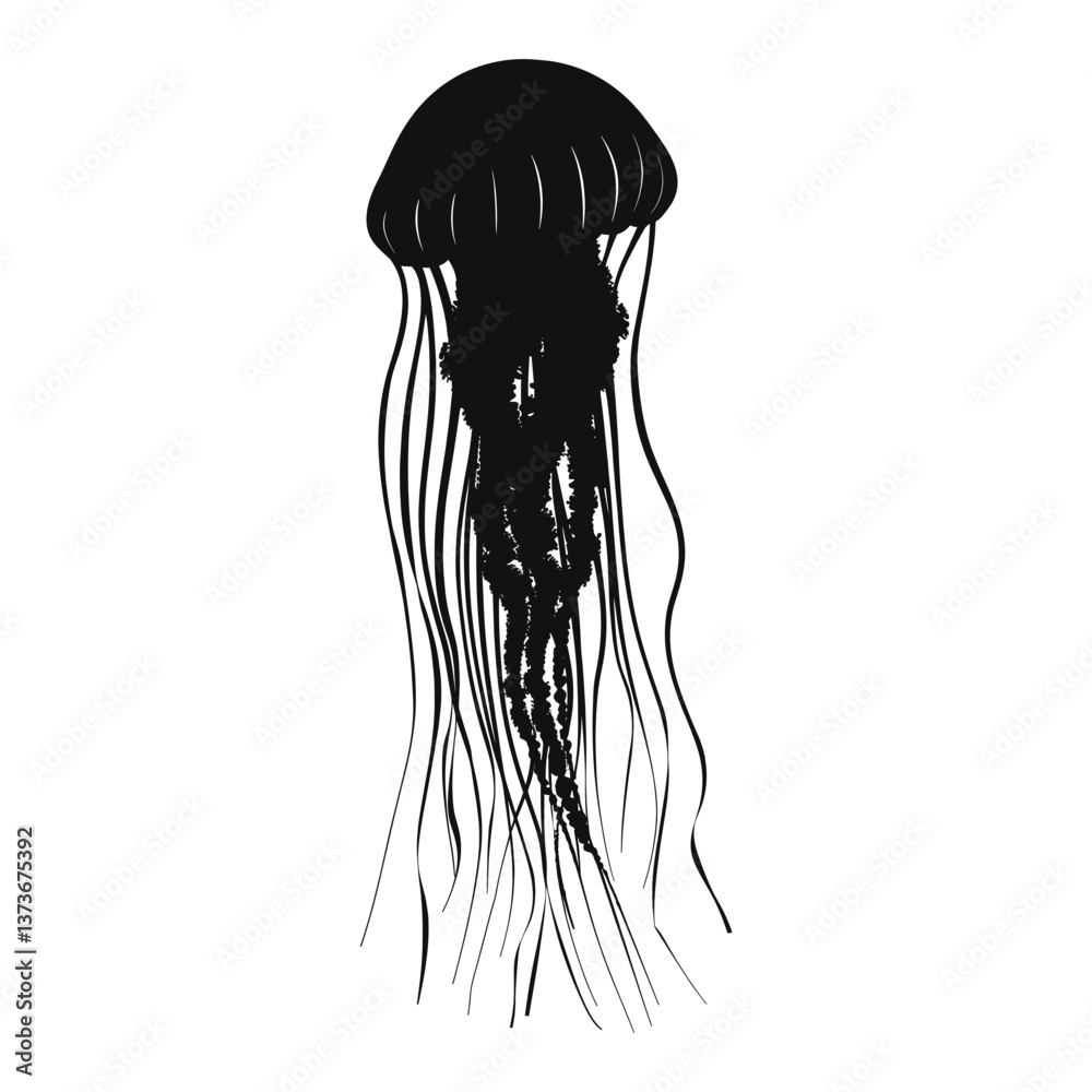 Jellyfish jellyfish illustration silhouette vector