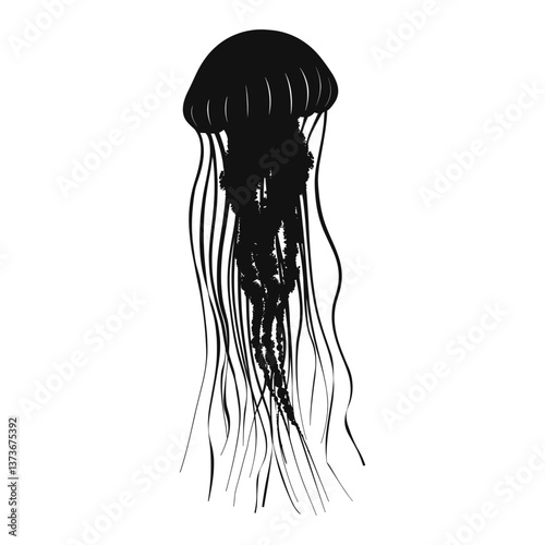 Obraz na płótnie Jellyfish jellyfish illustration silhouette vector w salonie