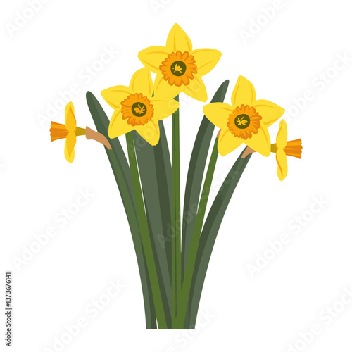 Daffodills daffodil illustration flower vector