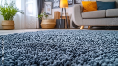 Blue shag rug dominates the foreground of living room scene photo