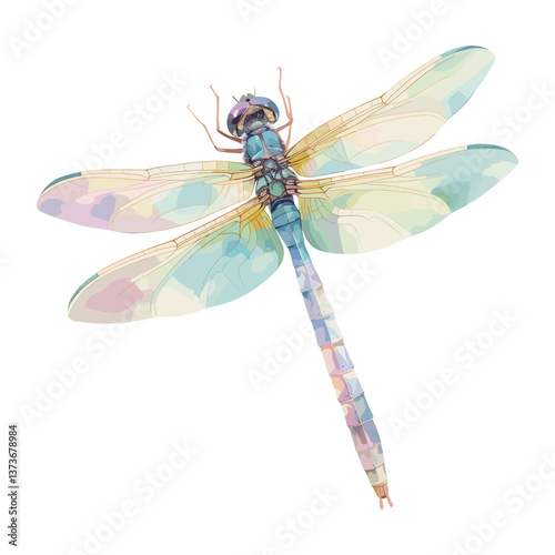 Dragonfly dragonfly illustration watercolor vector