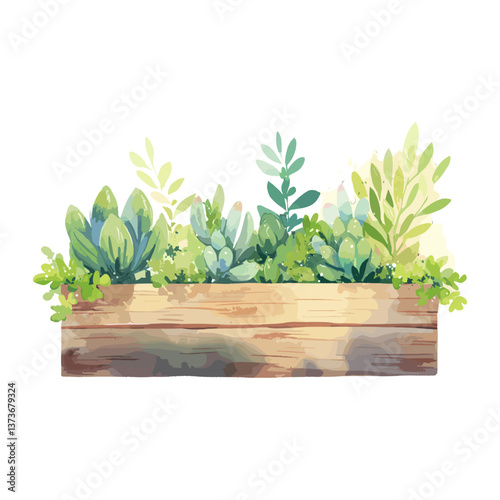 Planter Box planter plants illustration vector