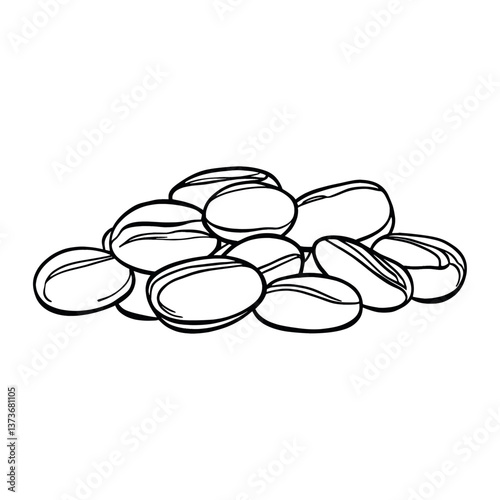 Coffee beans white line art vector