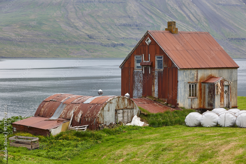 Fjord landscape with traditional metallic corrugated walls farm. Iceland