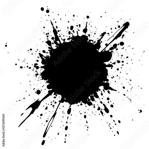 Grunge brush splatter stain black vector