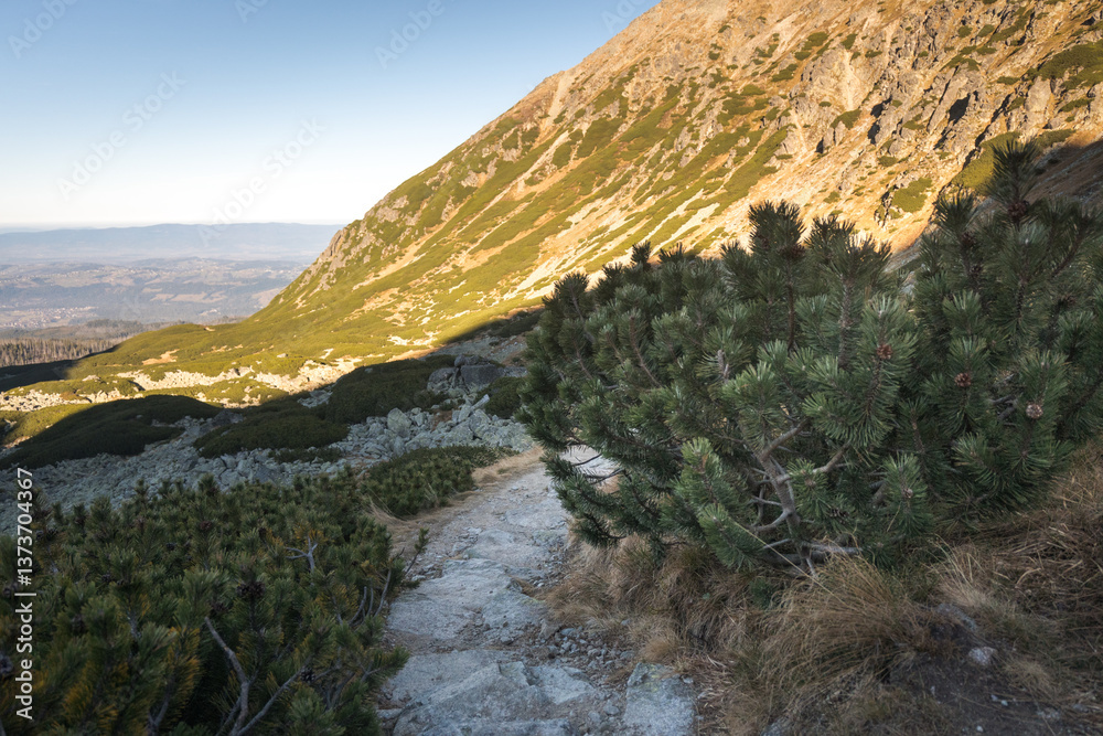 High mountain trail in the High Tatras, Pańszczyca Valley.