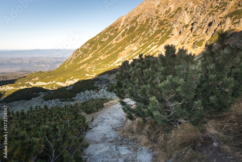Obraz na płótnie High mountain trail in the High Tatras, Pańszczyca Valley. w salonie