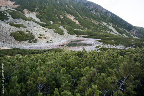 Red Pond in the High Tatras.
