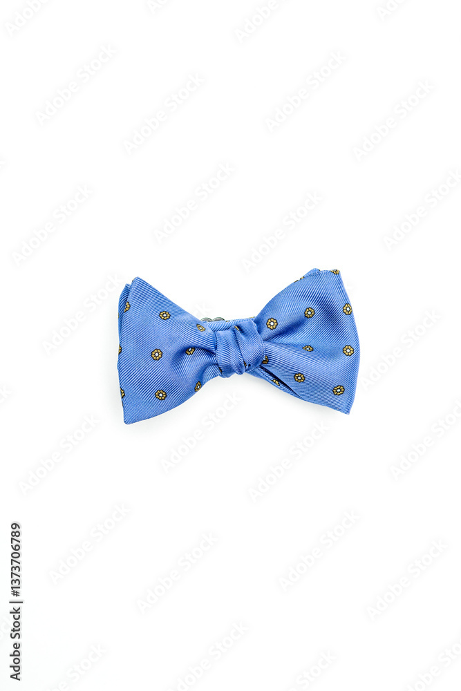 Blue isolated fashion bow-tie Blue isolated fashion bow-tie