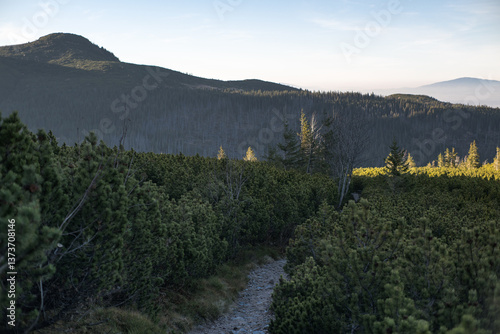 Obraz na płótnie High mountain trail in the High Tatras. A journey along rocky paths among dwarf pines and high mountain peaks. w salonie