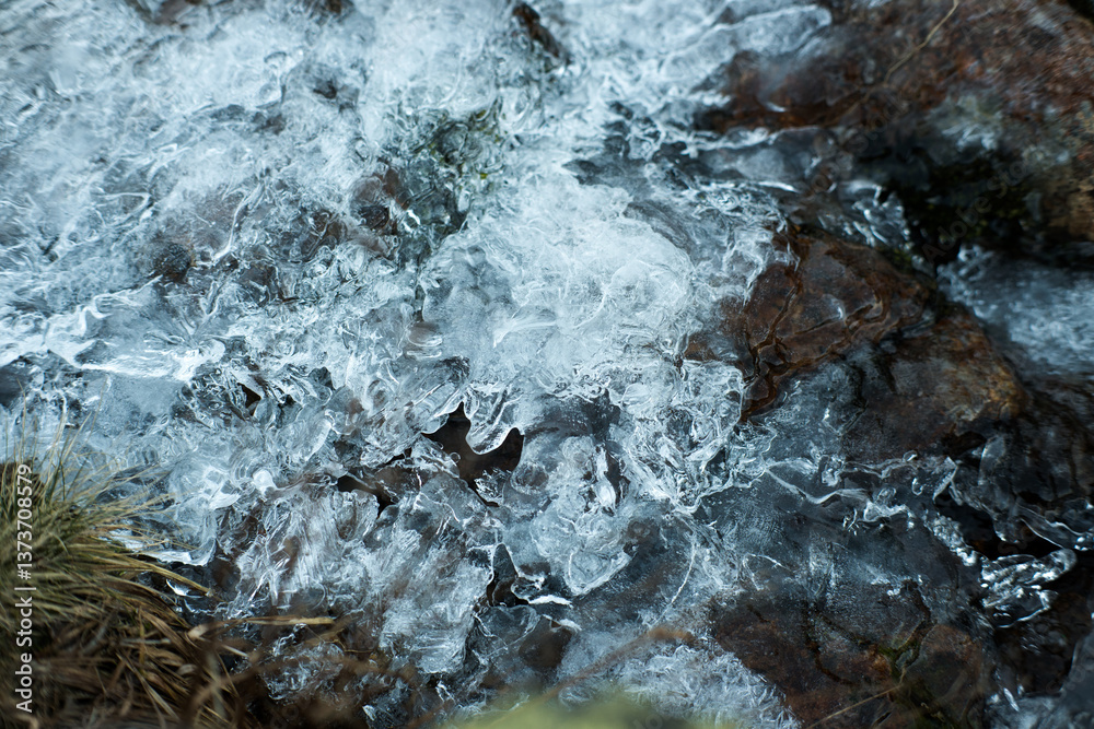 Frost, frozen water, water crystals