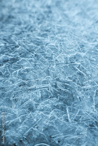 Obraz na płótnie Frost, frozen water, water crystals
w salonie