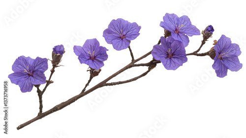 Blossom flower concept. Vibrant purple flowers blooming on a branch surrounded by delicate foliage and petals in a serene natural setting