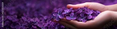 Gentle Touch, Delicate Beauty Hands Gently Hold Tiny Purple Lilac Blooms in Springtime Splendor