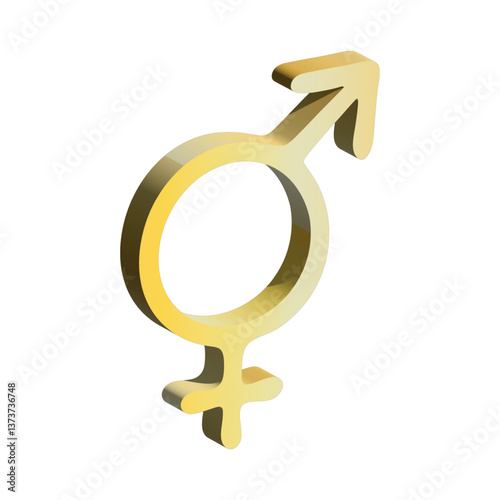 3d bigender (female and male) gender identity icon Symbol used to represent sex and gender
