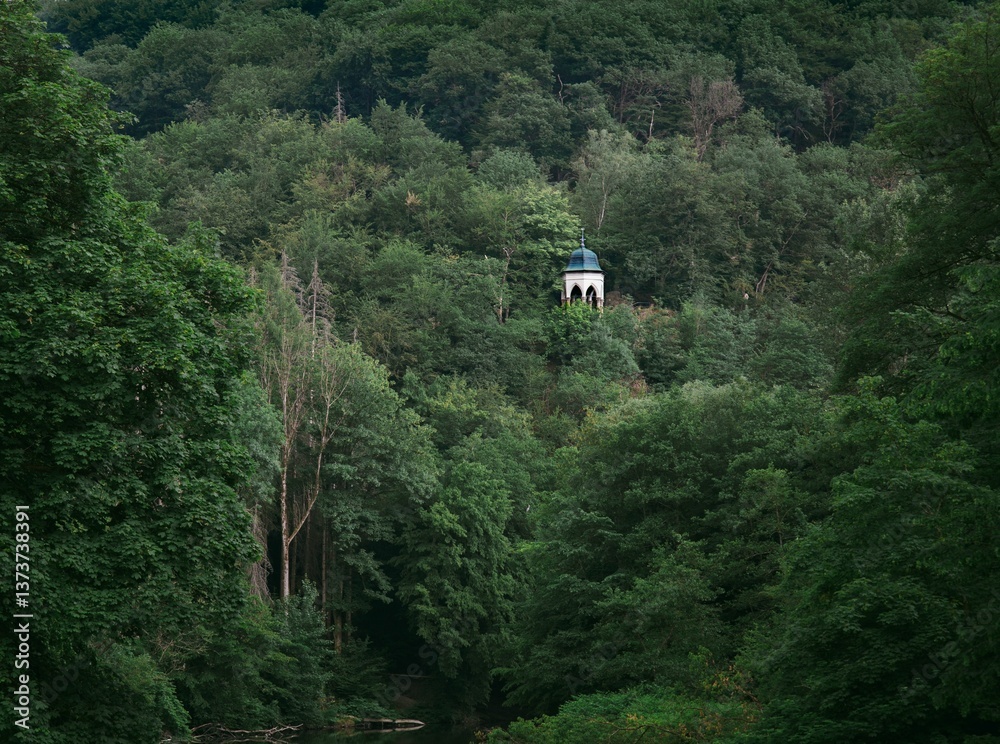 Fotografie Pavilion amidst lush forest landscape.