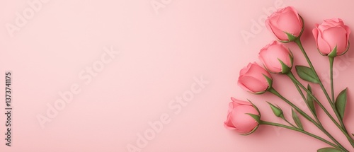 A bouquet of pink roses against a soft pink background, creating a romantic and elegant atmosphere.