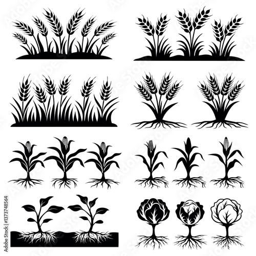set of black vector icons of plants with roots