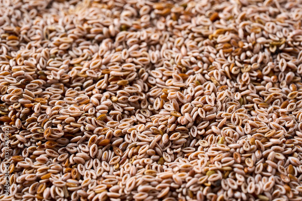 Obraz premium closeup pile of psyllium seed background texture