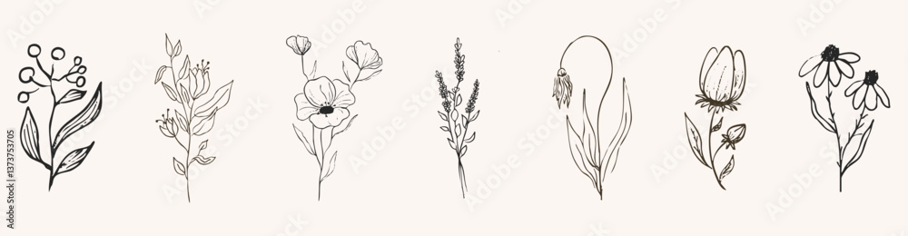 Fototapeta premium Floral botanical feminine wild flower summer line sketch drawing. Trendy minimal elements wedding herbs, minimalistic flowers with elegant leaves. Tiny tattoo, elegant rustic