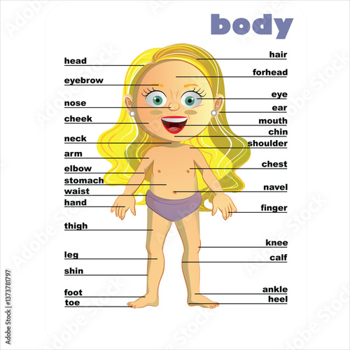 Educational chart displaying various body parts on a smiling girl, aiding in visual learning and body awareness