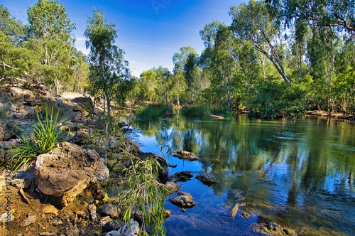 Bitter Springs, a thermal spring in the tropical Elsey National Park, Mataranka, Northern Territory, Australia
