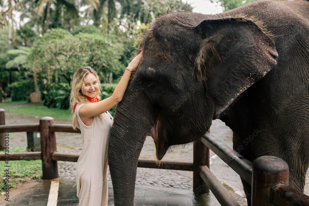 Fototapeta premium beautiful girl with smiling elephant, elephant village, bali