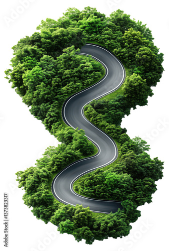 Obraz na płótnie Curvy road winding through dense green forest w salonie