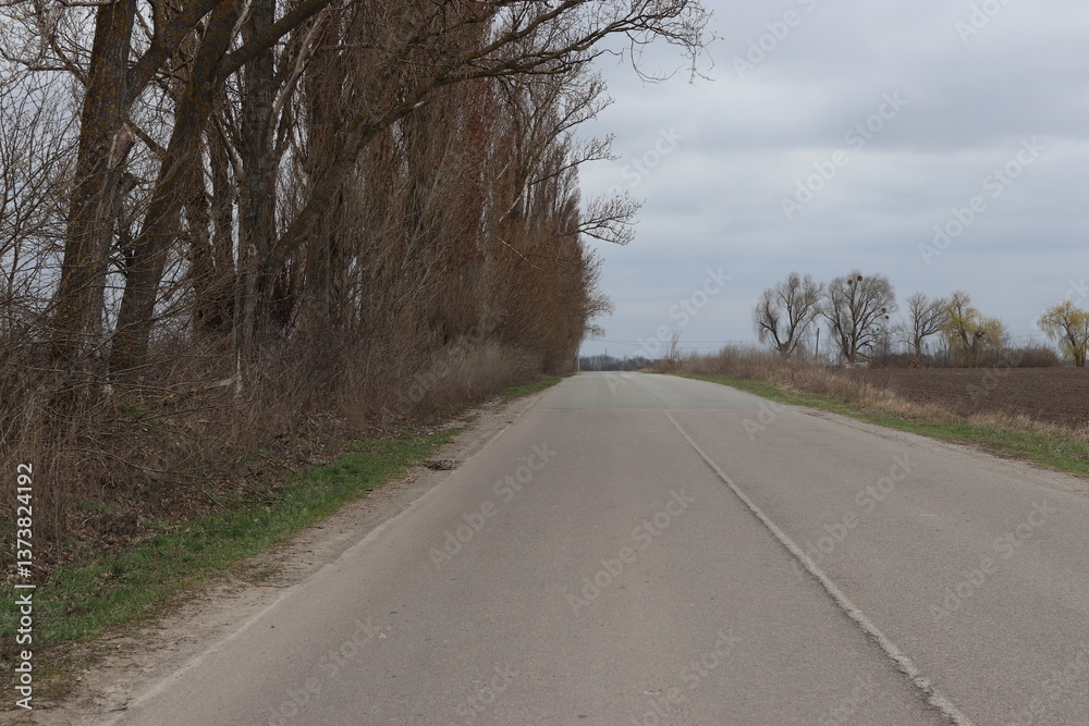 Fototapeta premium country road in autumn