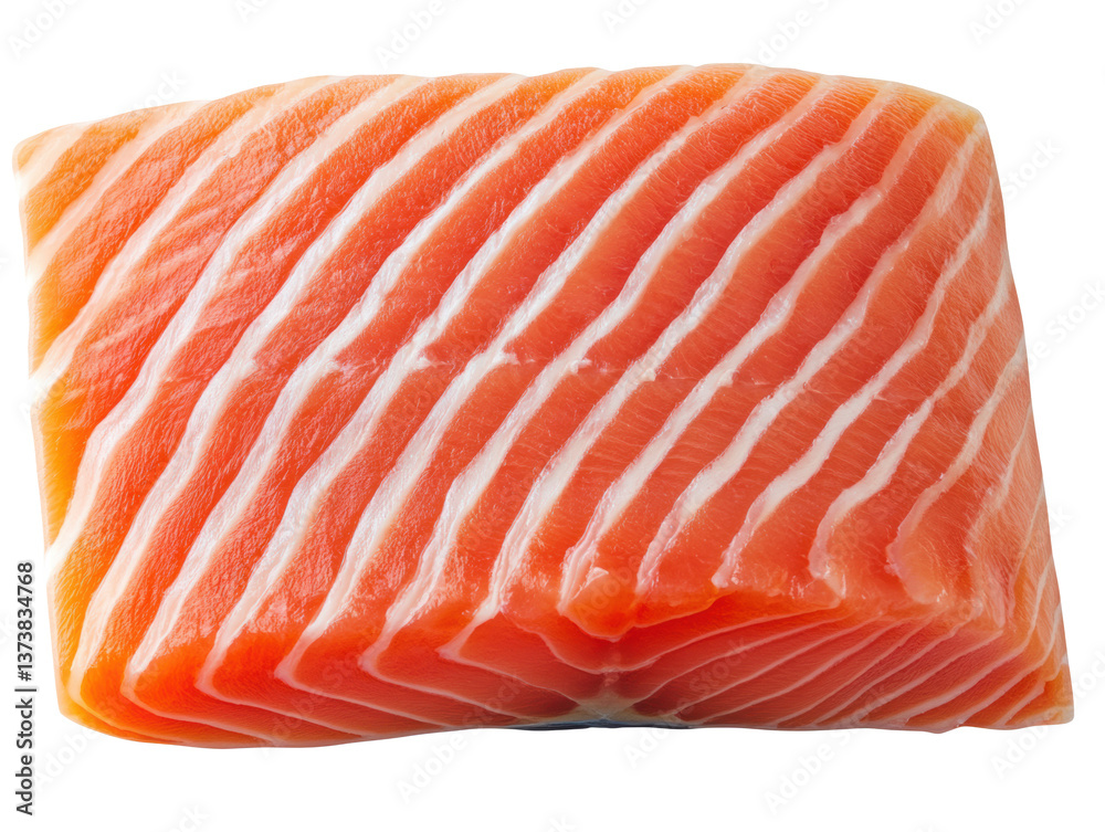 Fresh salmon fillet ready for culinary creations and healthy meals on a transparent background, cut out Fresh salmon fillet ready for culinary creations and healthy meals on a transparent background, cut out