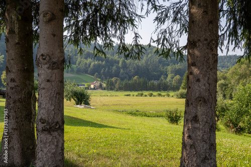 Fototapeta Naklejka Na Ścianę i Meble -  Trees Against the Backdrop of a Bieszczady Village, Poland