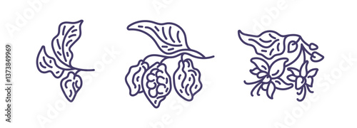 Cocoa abstract art line set. Nature chocolate Logo