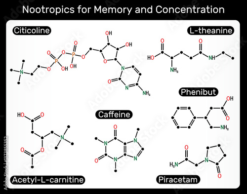 Nootropics for memory and concentration. Citicoline, L-theanine, Phenibut, Acetyl-L-carnitine, Caffeine, Piracetam