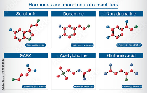 Hormones and mood neurotransmitters. Serotonin, dopamine, noradrenaline, GABA, acetylcholine, glutamic acid molecule.