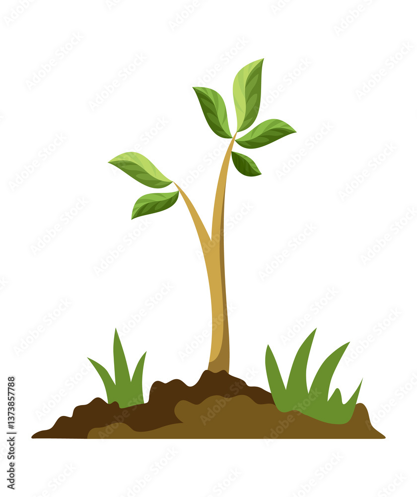 Stage of tree growth. Small tree growth with green leaf and branches. Illustration of business cycle development